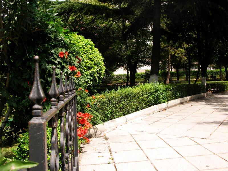 Rental House Istanbul Airport Стамбул Номер фото